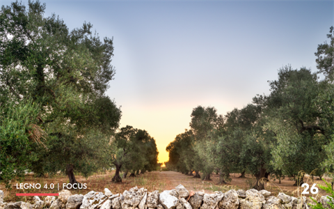 26-focus-puglia(0)