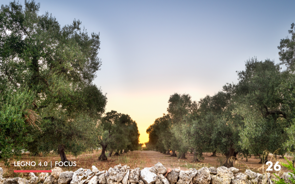 26-focus-puglia