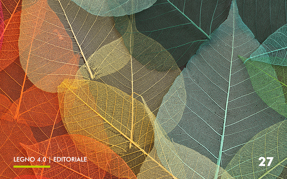 27-editoriale(3)