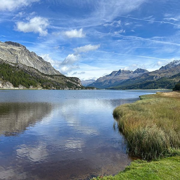 600x600_legno_locale