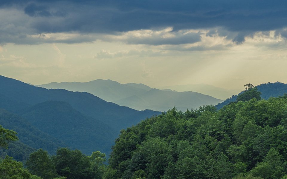 960x600_legno_locale