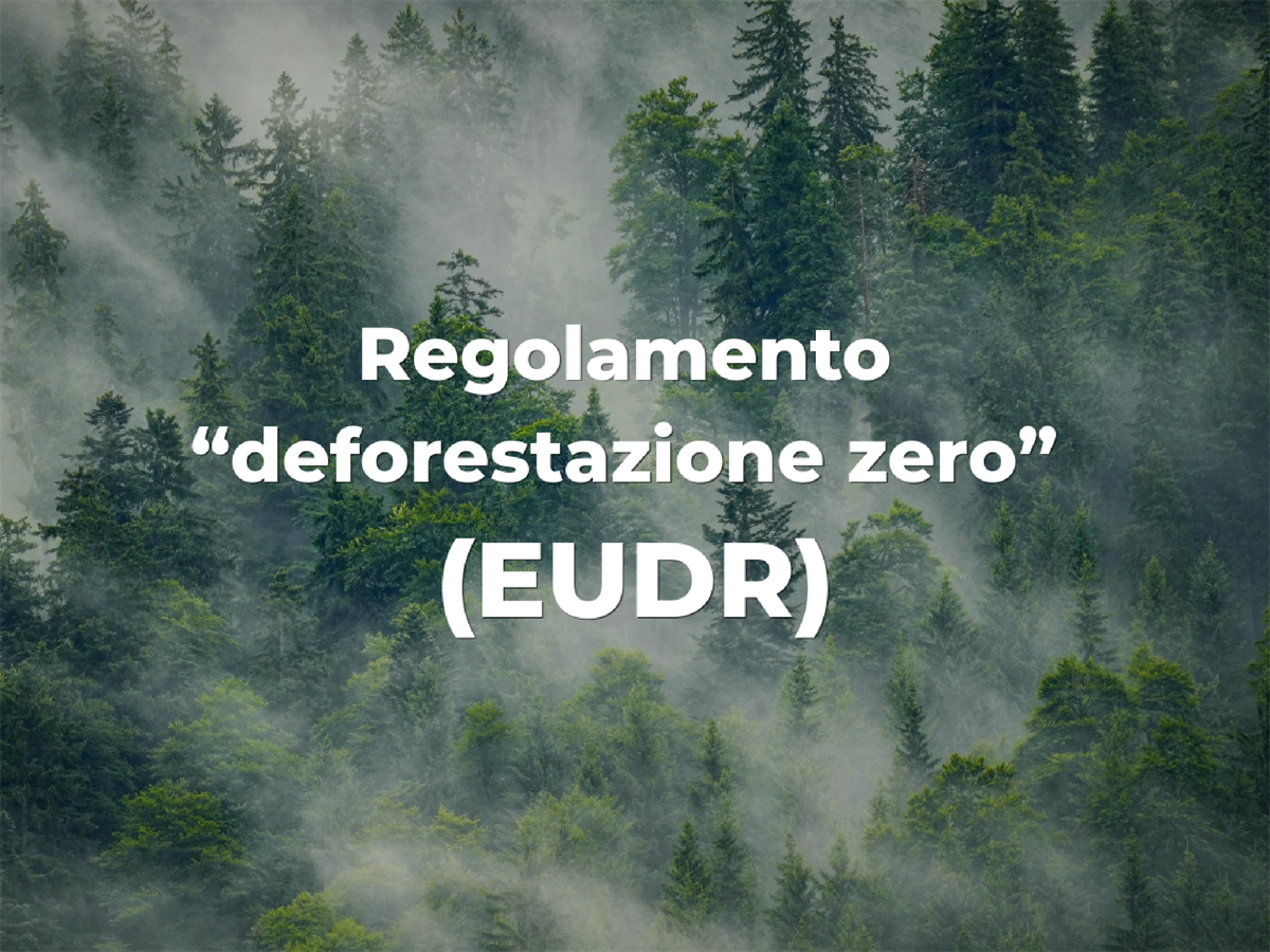 EUDR-highlights