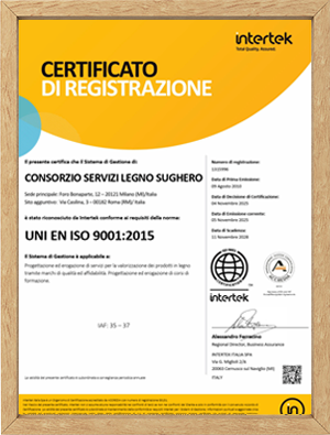iso9001